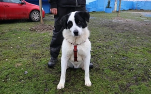 Hier kommt der menschenbezogene Miles!