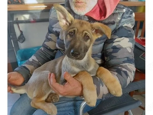 Mal sucht sein Zuhause (noch auf Sardinien)