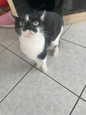 2 geschwister ekh Bild 2