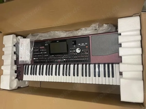 Korg PA1000 61-Key Professional Arranger Brand New