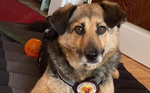 Unsere süße Agla Bild 6