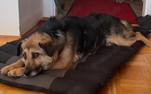 Unsere süße Agla Bild 5