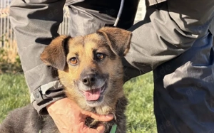 Unsere süße Agla Bild 2