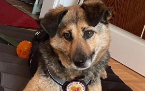 Unsere süße Agla Bild 3