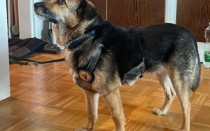 Unsere süße Agla Bild 4