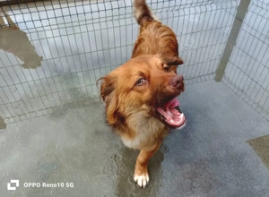 Der kleine HORUS freut sich auf Liebe Bild 6