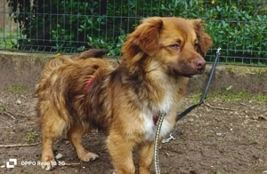 Der kleine HORUS freut sich auf Liebe Bild 2