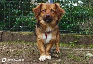 Der kleine HORUS freut sich auf Liebe Bild 7