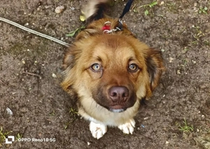 Der kleine HORUS freut sich auf Liebe Bild 8