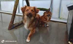 Der kleine HORUS freut sich auf Liebe Bild 10