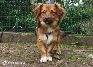 Der kleine HORUS freut sich auf Liebe Bild 3