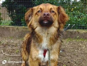 Der kleine HORUS freut sich auf Liebe Bild 9