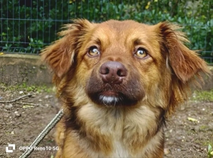 Der kleine HORUS freut sich auf Liebe Bild 5