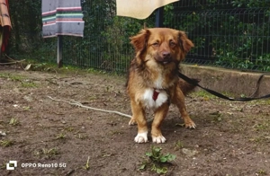 Der kleine HORUS freut sich auf Liebe Bild 4