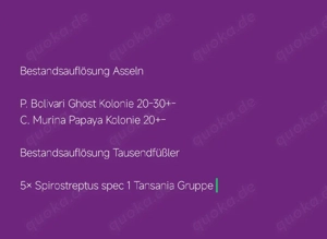 Asseln verschiedene Arten& Tausendfüßler Wirbellose 