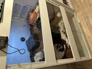 Terrarium 3er Kunststoff 110x50 zu verkaufen