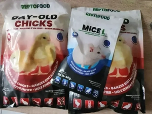 Frost Küken und Mäuse 