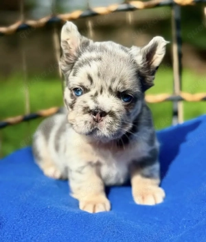 Neues Familienmitglied