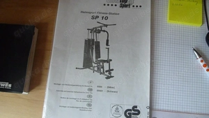 Weißes Eichhörnchen Weibchen