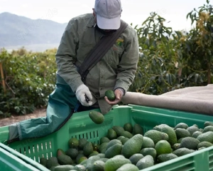 Wir stärken Landwirte, wir verbessern Leben 