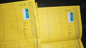 Sphynx 1Kater und 1 Katze