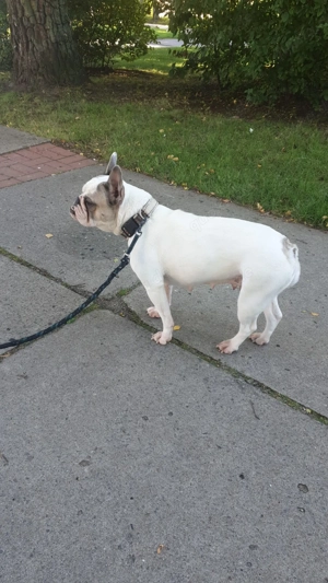 Dringend ein neues Zuhause gesucht!!!