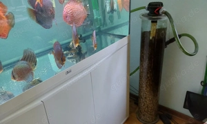 Hochwertiges Aquarium 419L, Eheim Filter & Unterschrank
