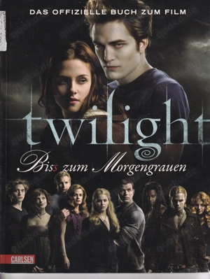 Twilight - Bis(s) zum Morgengrauen - das offizielle Buch zum Film
