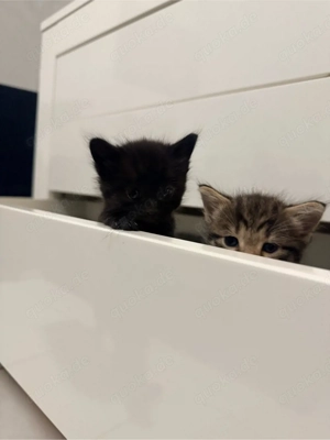 süße Babykerzen abzugeben