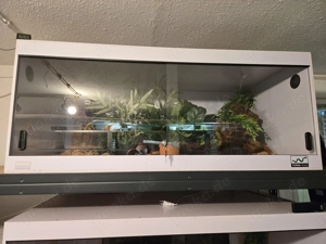 Terrarien verschiedene Größen