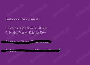 Asseln verschiedene Arten& Tausendfüßler Wirbellose 