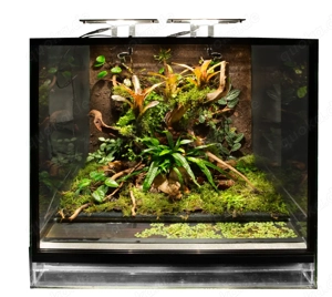 Skylight - Ihre Beleuchtung für Aquarien, Terrarien und Paludarien Bild 2