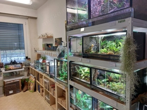 Skylight - Ihre Beleuchtung für Aquarien, Terrarien und Paludarien Bild 4