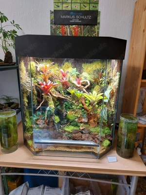 Skylight - Ihre Beleuchtung für Aquarien, Terrarien und Paludarien Bild 6