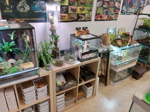 Skylight - Ihre Beleuchtung für Aquarien, Terrarien und Paludarien Bild 5
