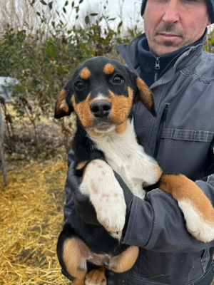 Lego - sehnt sich nach einer Familie