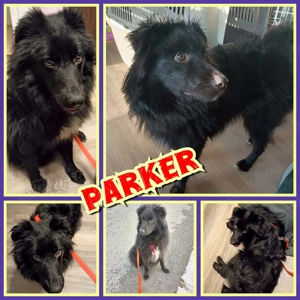 Toller Parker sucht aktive Leute!