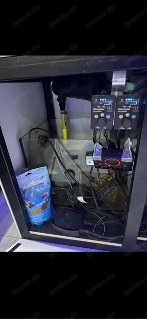 Meerwasseraquarium Bild 4