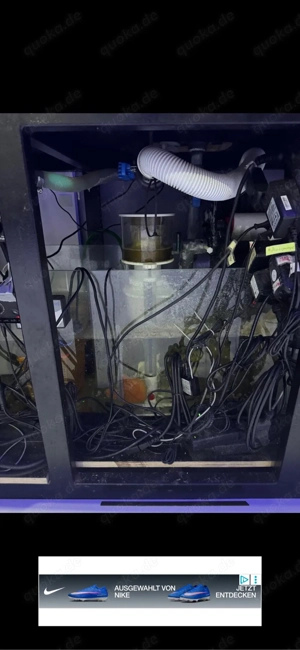 Meerwasseraquarium Bild 5