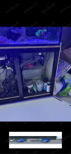 Meerwasseraquarium Bild 3