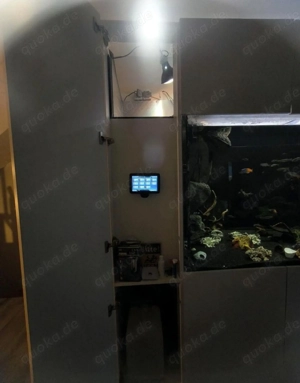 Aquarium 1900 l mit Zubehör  Bild 3