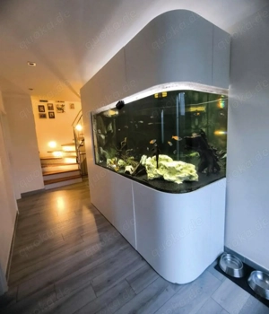 Aquarium 1900 l mit Zubehör  Bild 5