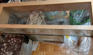 Aquarium mit Eiablage & Zubehör   112 L inkl. Filter & Korkinsel