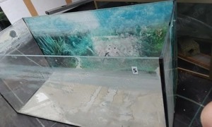 Glas-Aquarium 112 L   80 x 35 x 40 cm Bild 2