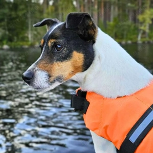 Lumi - liebt Menschen  Bild 6