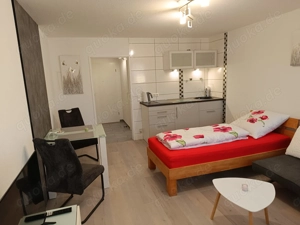 Einzimmer-Apartment in Lahr