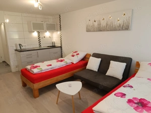 Einzimmer    Ferien    Monteur    Apartment Lahr    Schwarzwald Bild 9