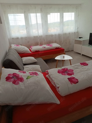 Einzimmer    Ferien    Monteur    Apartment Lahr    Schwarzwald Bild 10