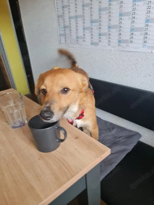 Angel 1jahr 4 monate  in Deutschland 