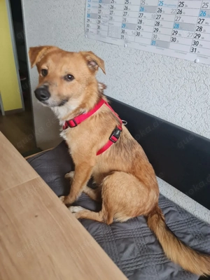 Angel 1jahr in Deutschland 